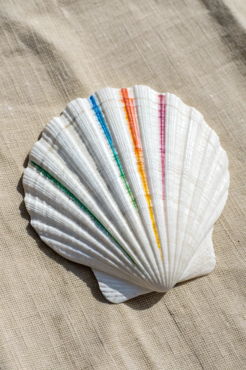 Transform simple beach finds into vibrant art with these rainbow painted shell ridges.