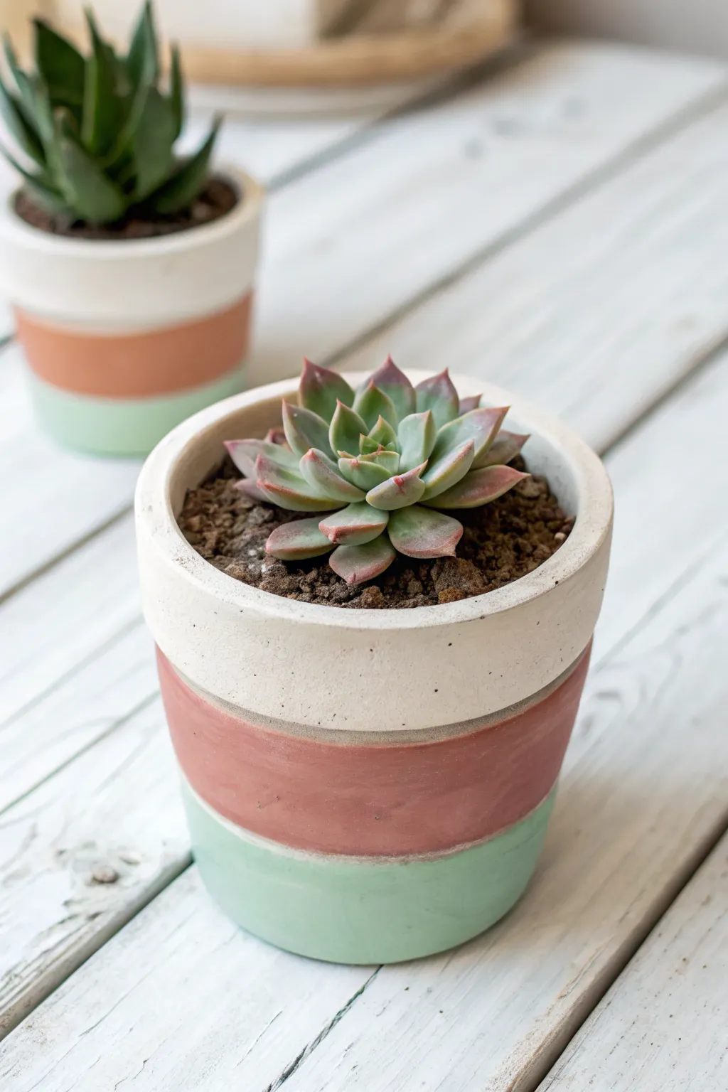 Classic color-blocked bands turn a simple succulent pot into a modern, calm, DIY-ready statement.