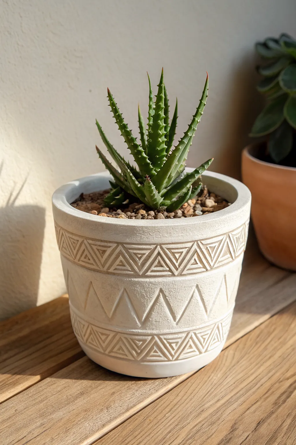 Faceted air dry clay planter with raised geometric appliqué and a spiky succulent, clean and modern