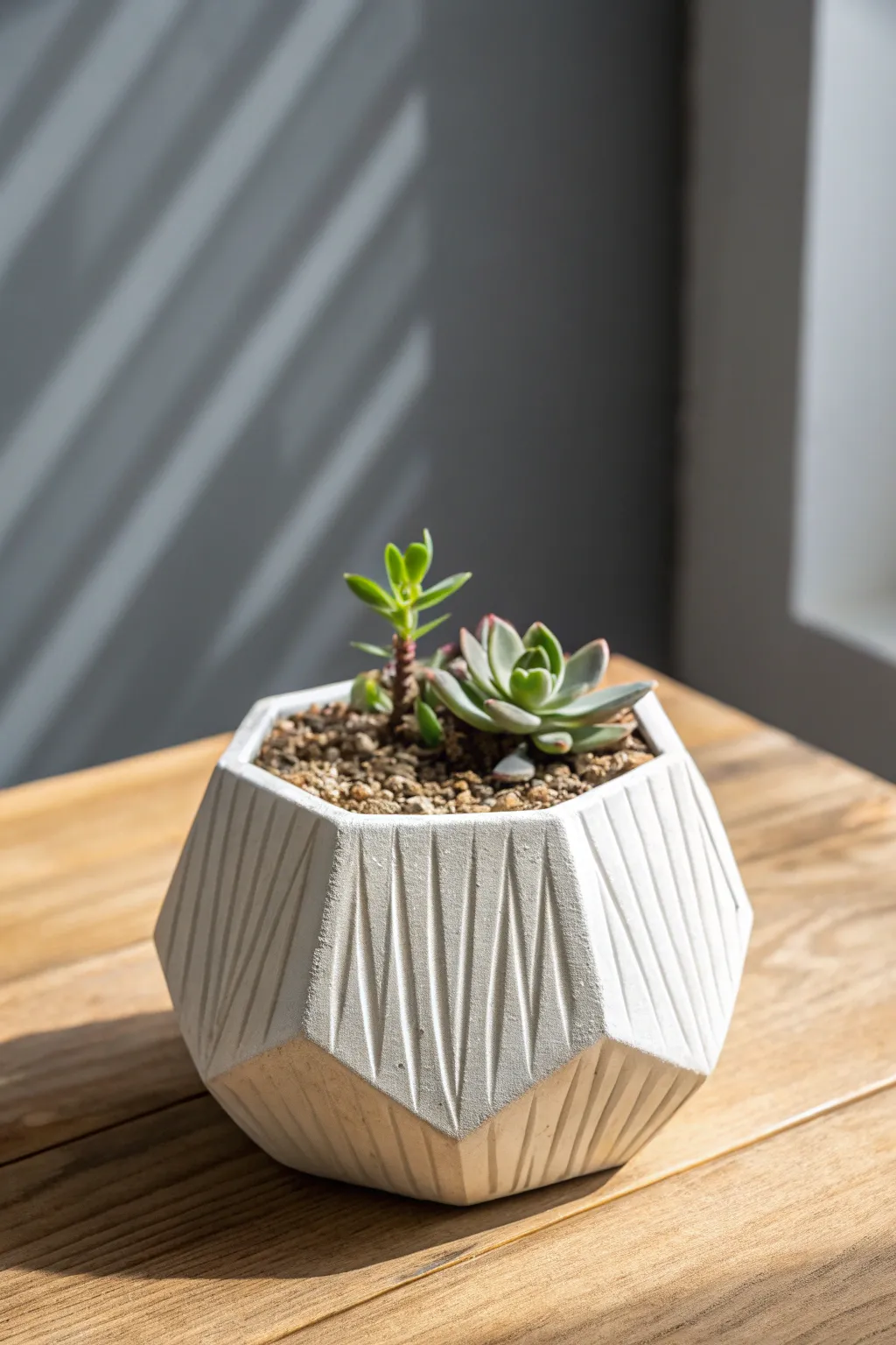 Clean-lined geometric air dry clay pot with strip panels, styled with a tiny succulent in Scandi calm.