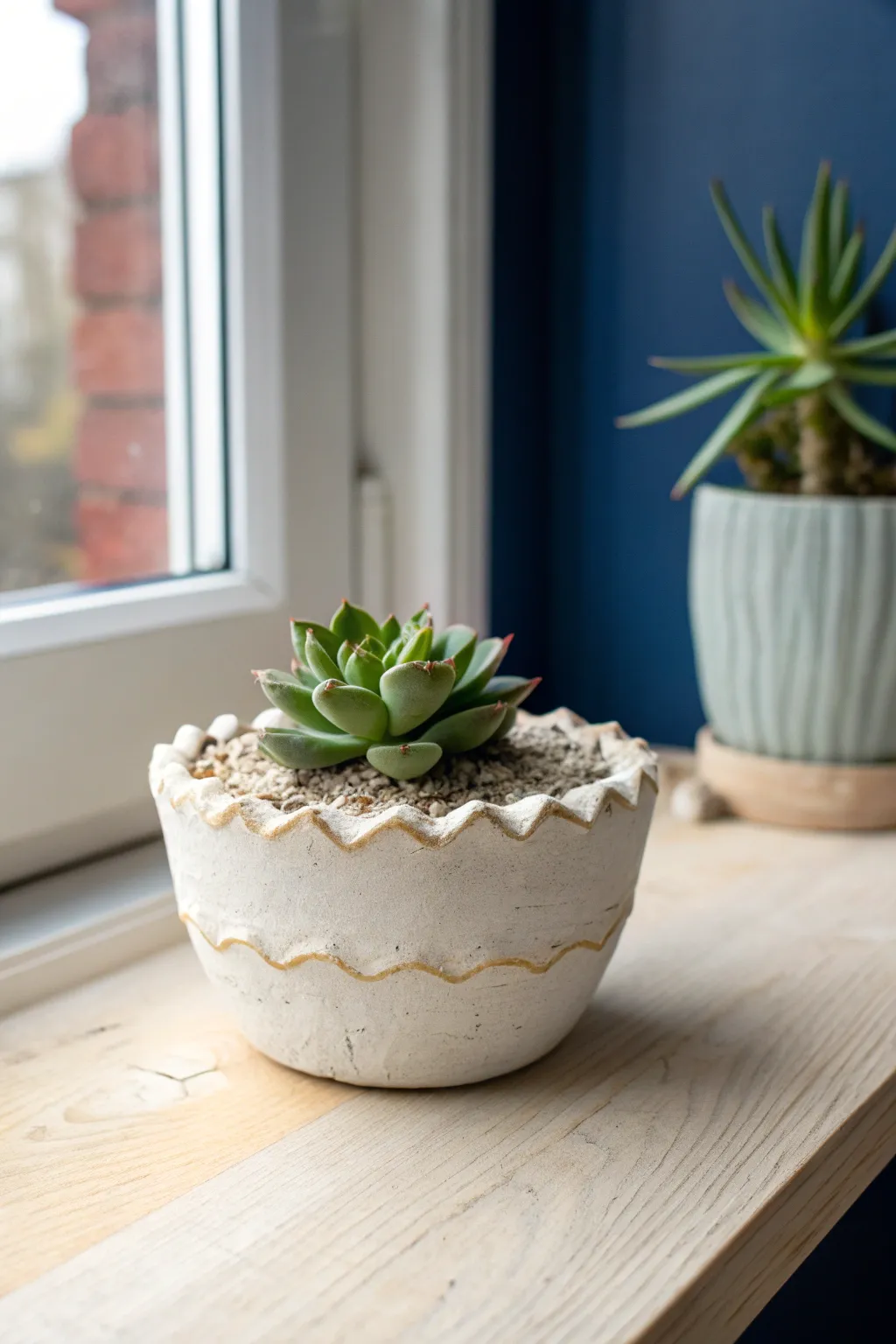 Sweet scalloped air-dry clay planter with a tiny succulent for a cozy cottage corner.