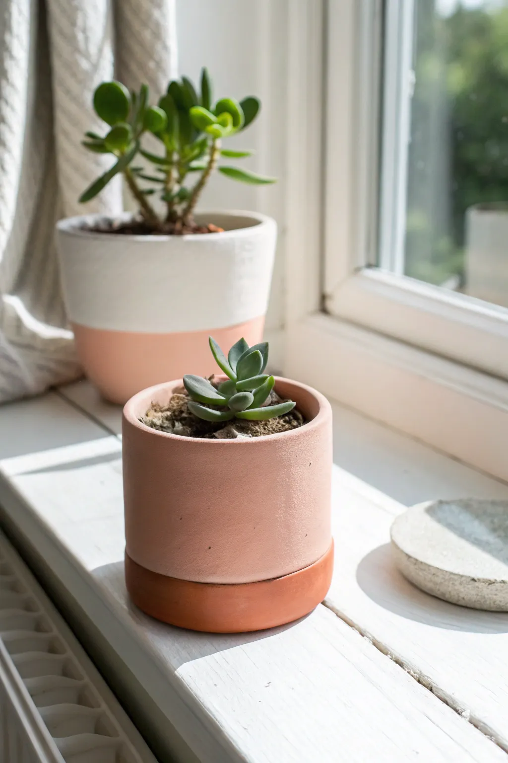 Tiny oven-bake clay planter on a sunny windowsill, minimalist and boho with a lush succulent.