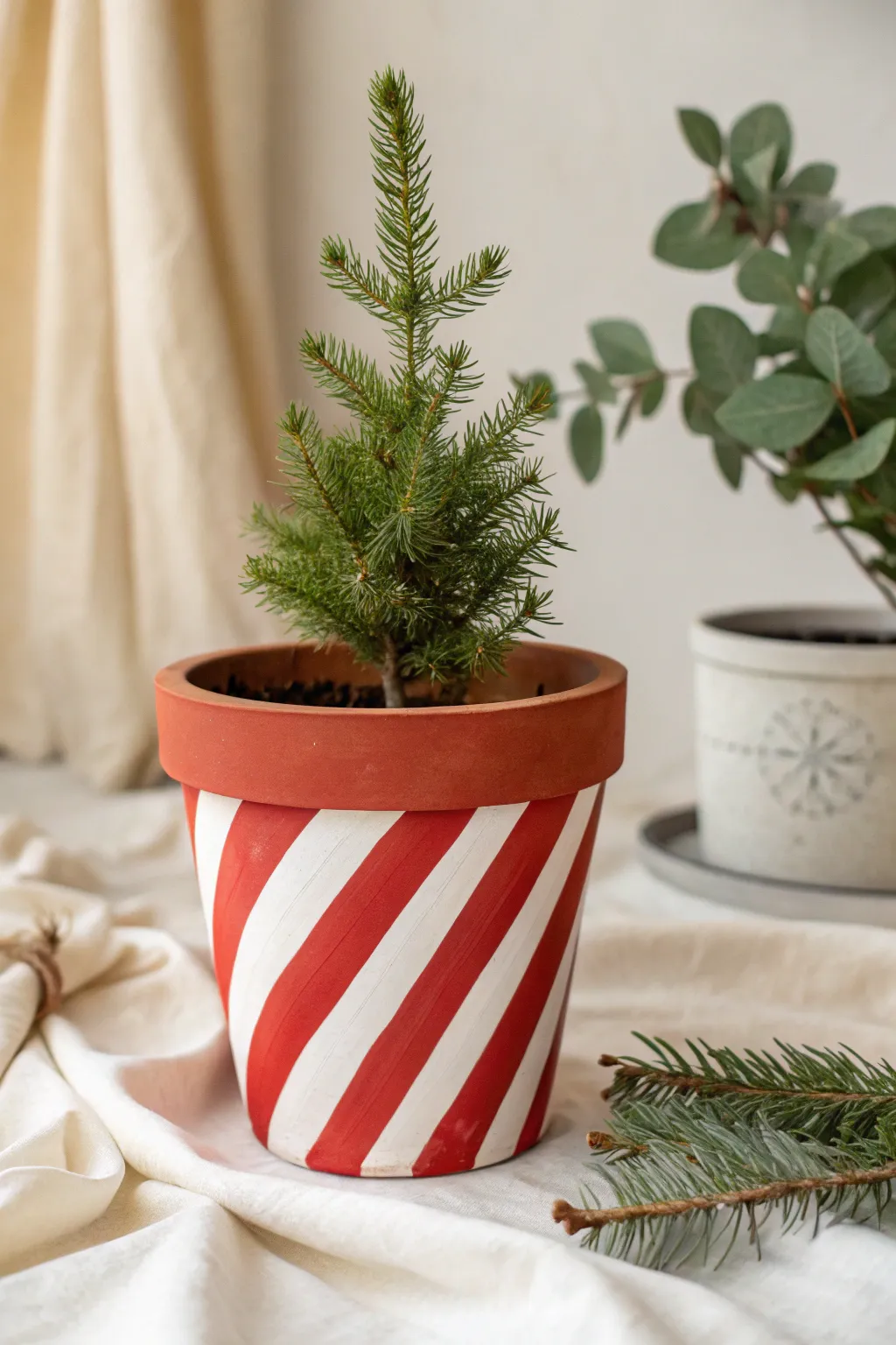 Candy cane striped terracotta pot planter for a simple Scandinavian-boho Christmas accent.