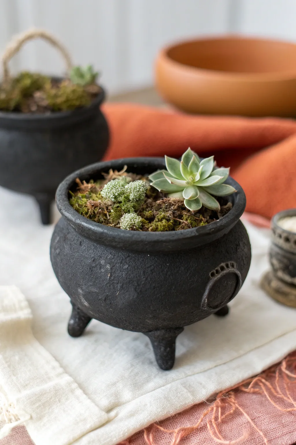 Tiny black clay cauldron planter with moss, minimalist Halloween decor with a cozy boho vibe