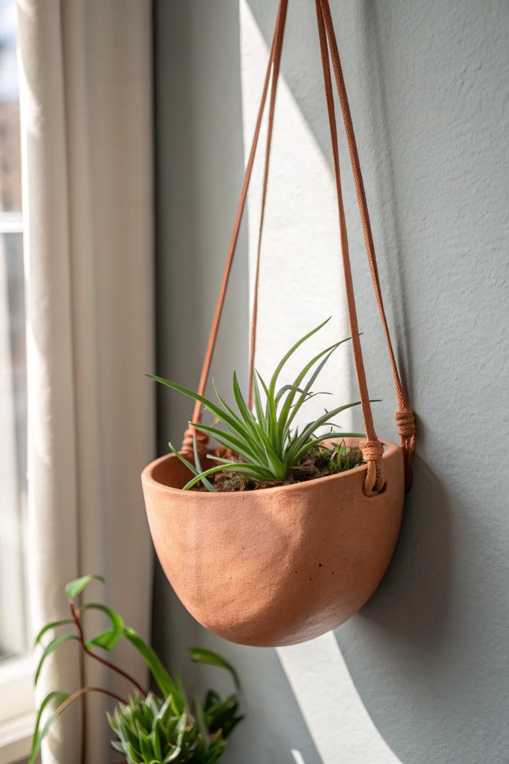 Minimal clay wall pocket with leather hanger, styled with an air plant for calm boho vibes.