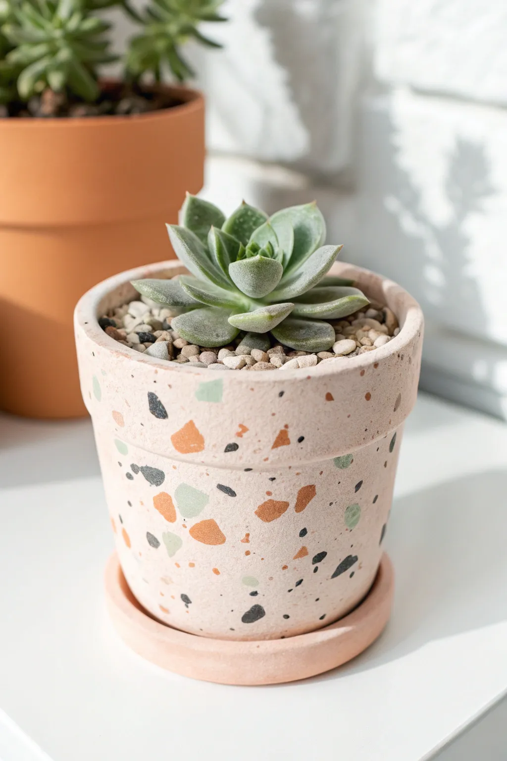 Terrazzo speckles on a light terra cotta pot make this succulent look modern and handmade.