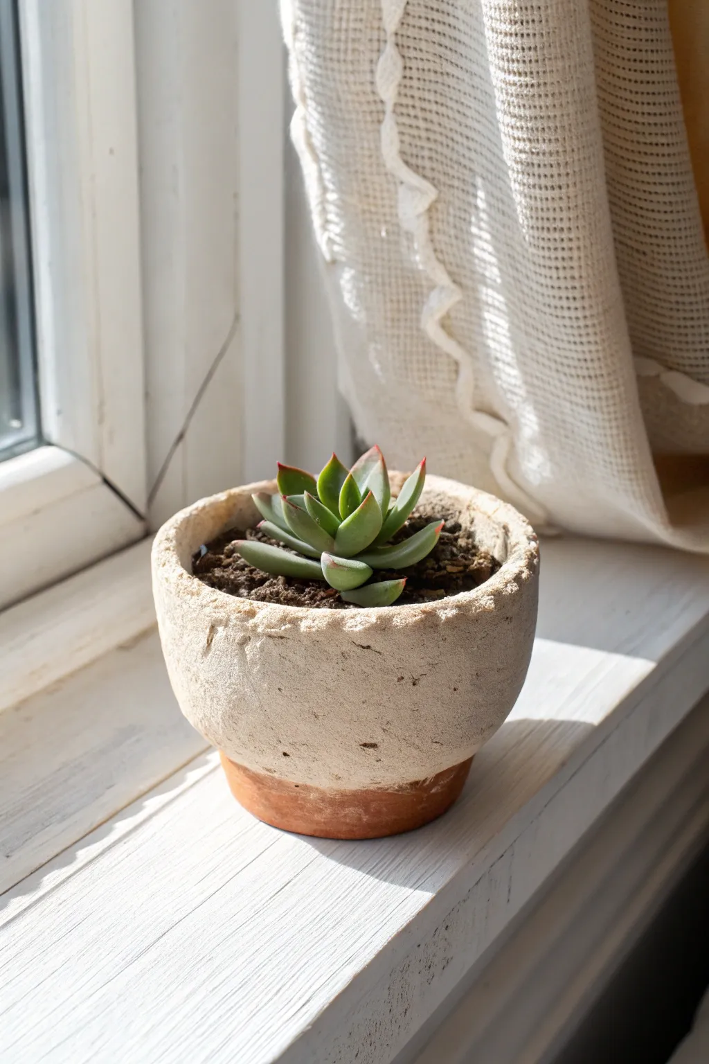 Tiny oven-bake pinch pot planter with a mini succulent, handmade charm in soft sunlight.