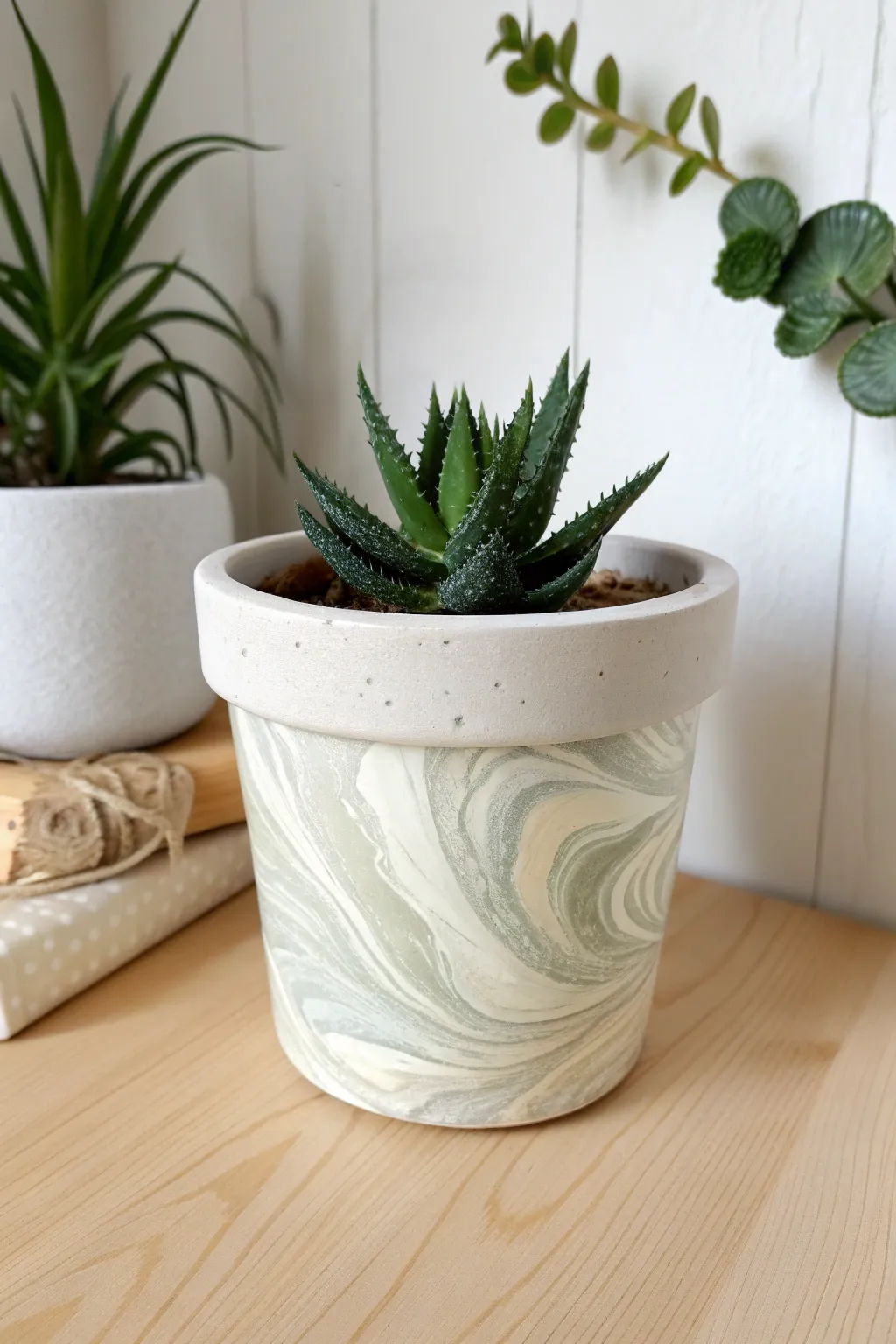 Soft faux marble swirl pot with a glossy finish, paired with a deep green succulent for contrast