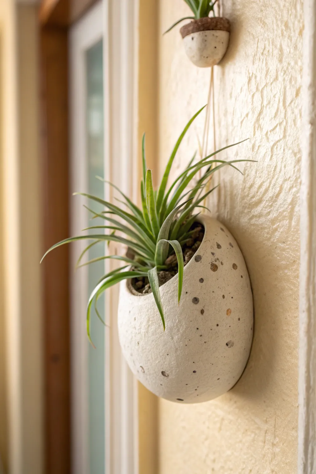 Tiny air plant pod in soft clay tones, minimalist wall decor with a fresh pop of green
