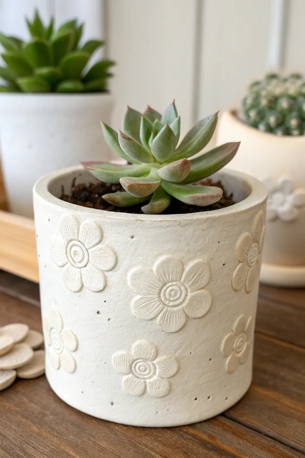 Minimal air dry clay planter with raised relief shapes and a tiny succulent, modern boho charm.