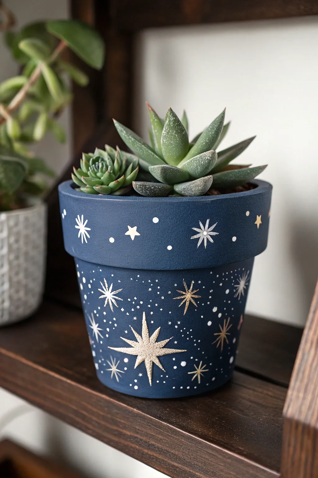 Navy night-sky pot with simple starbursts and a silvery succulent for celestial calm