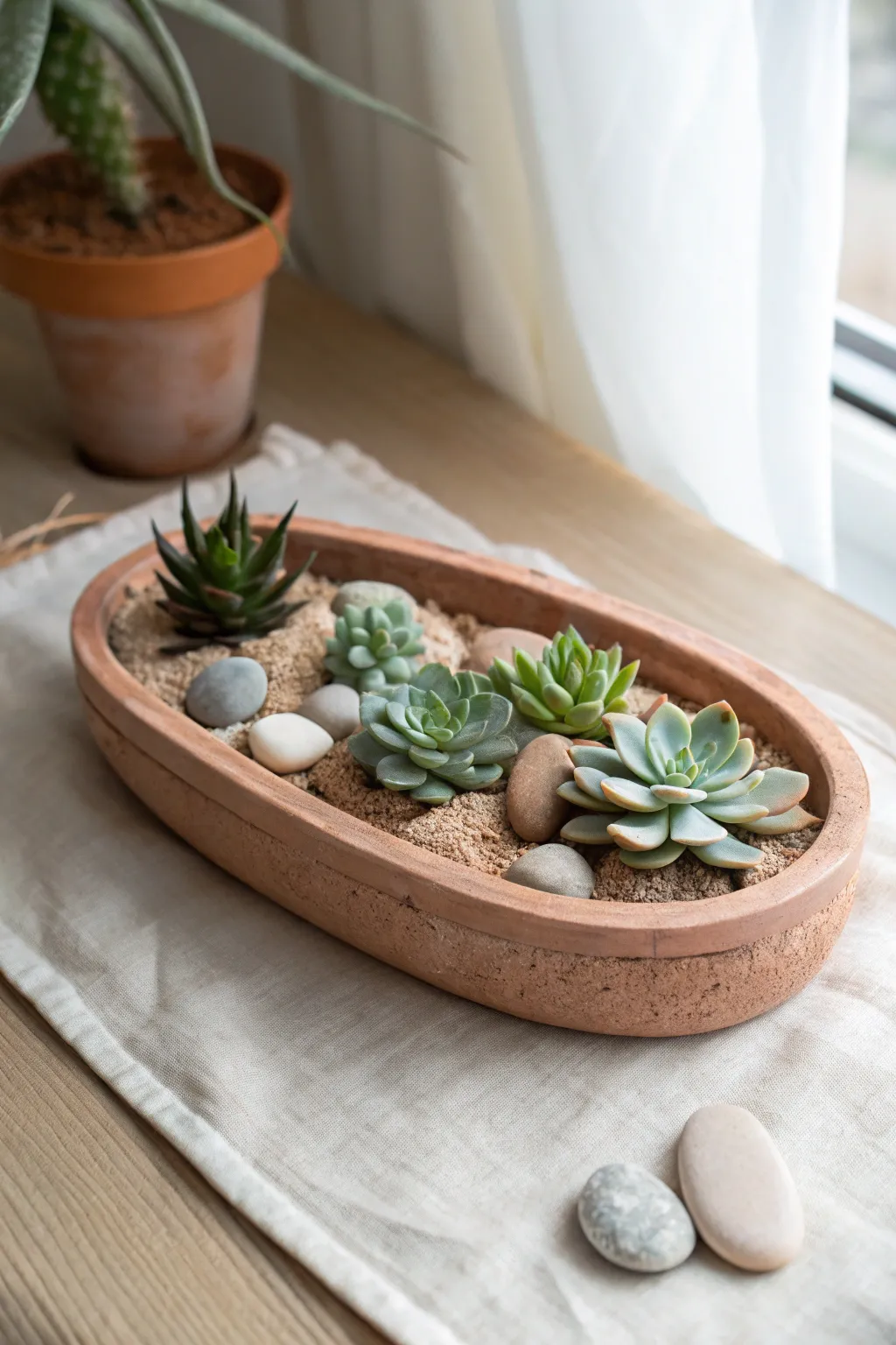 Coil-rim clay succulent tray with stone topdressing, minimalist Nordic style and warm natural light