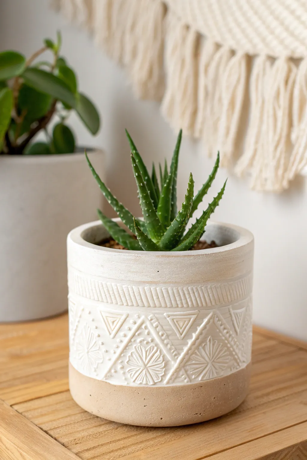 Minimal sgraffito-lined ceramic pot with a sculptural succulent for calm modern texture.