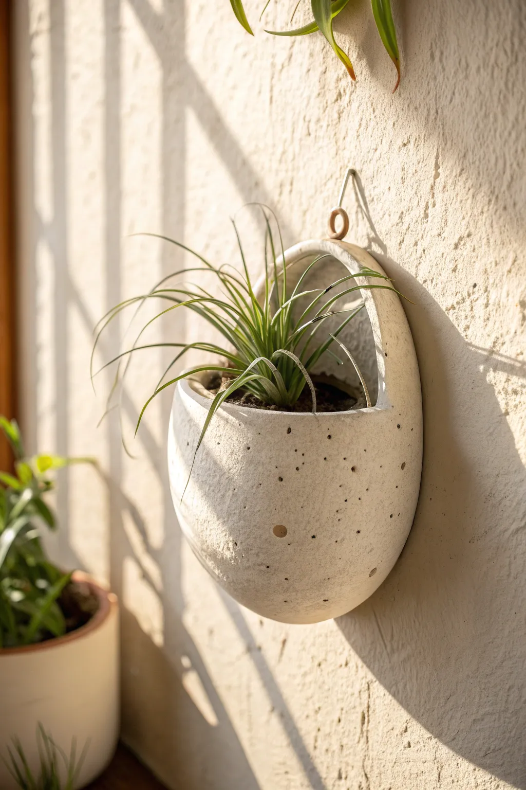 Minimal clay wall pocket planter with an air plant, a simple boho touch for fresh wall art