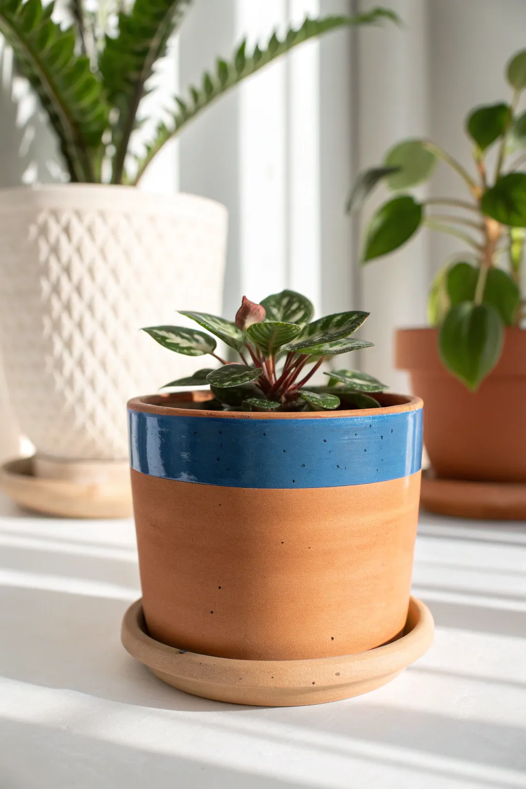 DIY-friendly self-watering planter with separate reservoir, bold cobalt accent, minimalist boho look.