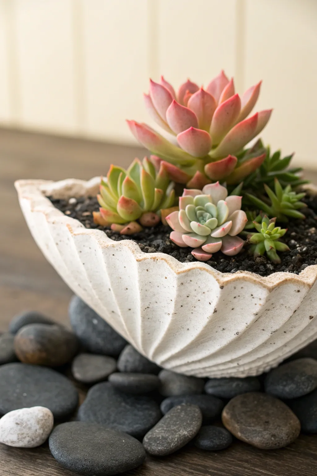 Undersea-inspired clamshell planter with coral-like succulents in blush and sage tones.