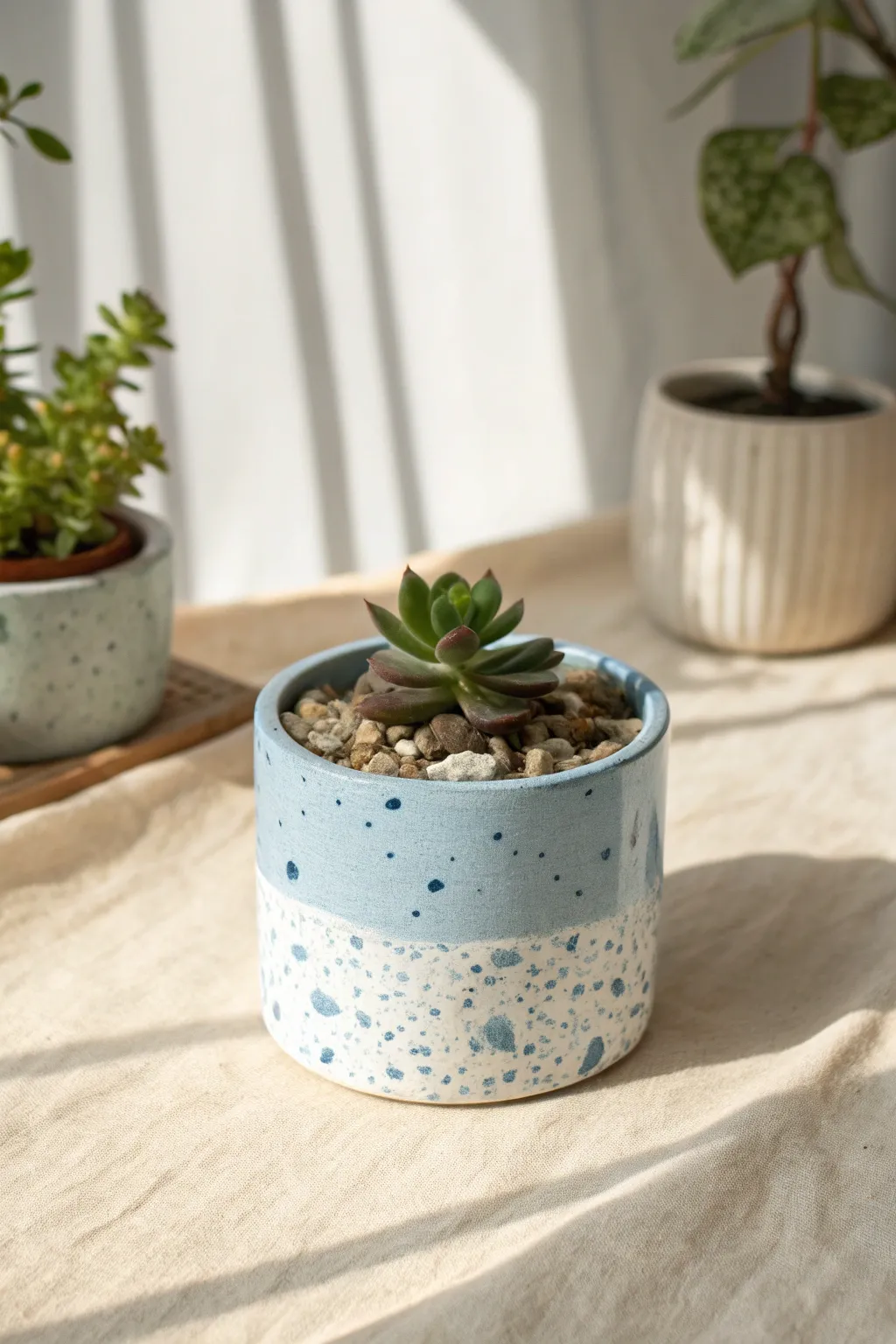 Blue terrazzo speckle mini planter with a tiny succulent for a calm, minimalist boho nook.