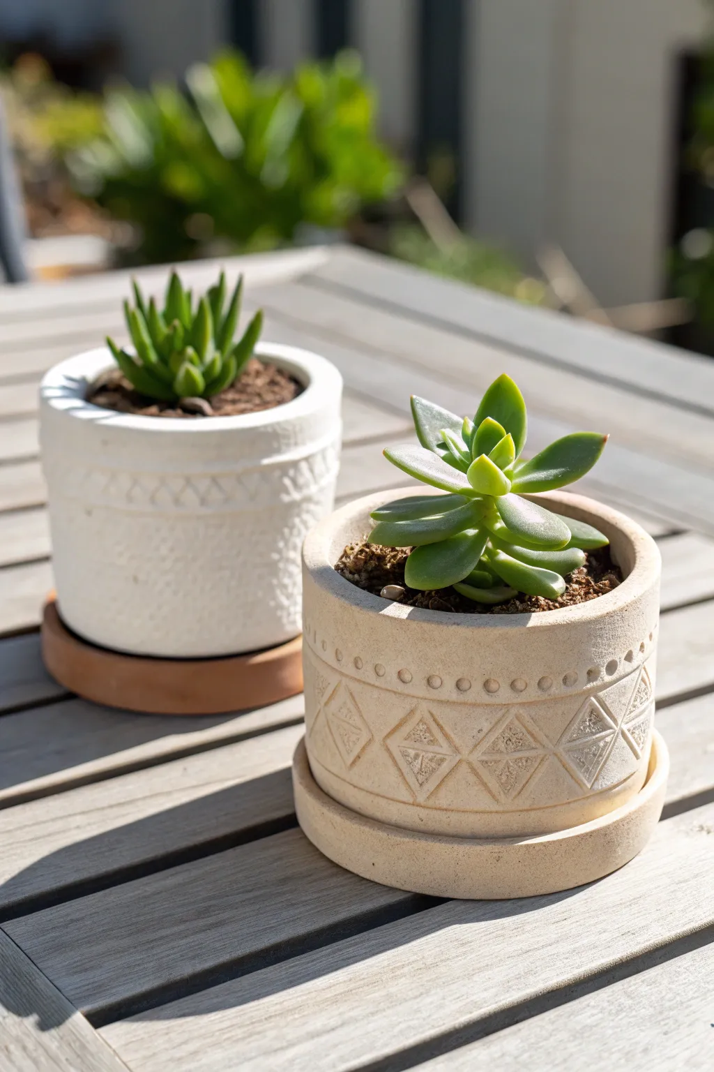Tiny air dry clay succulent planters with simple texture and carving for a cozy patio vibe
