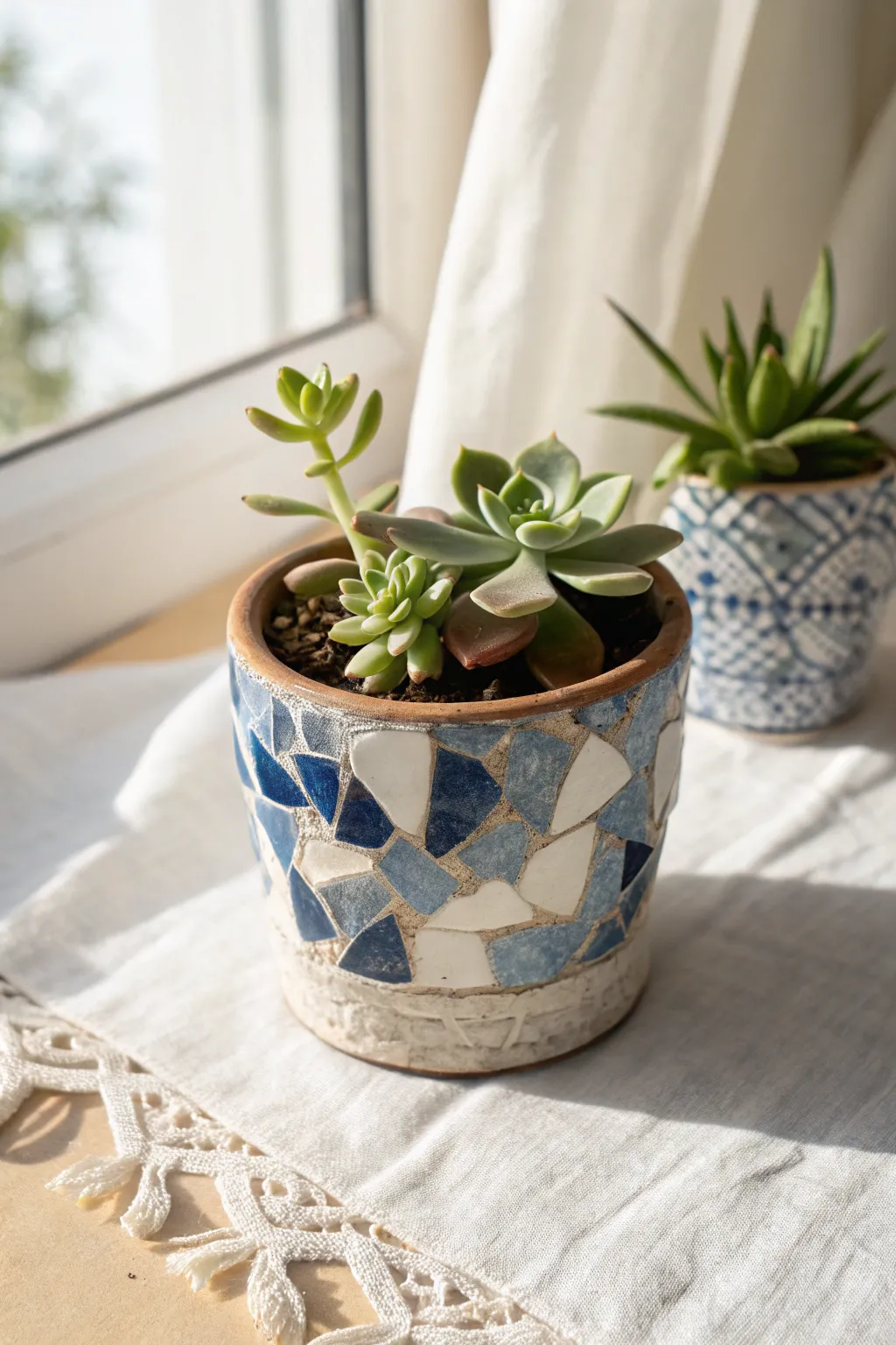 Blue-and-white china shard mosaic planter with crisp light grout and simple succulents