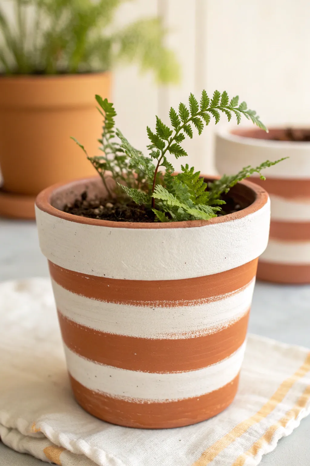 Crisp two-tone stripes give this clay pot a timeless, graphic look with a fresh fern accent.