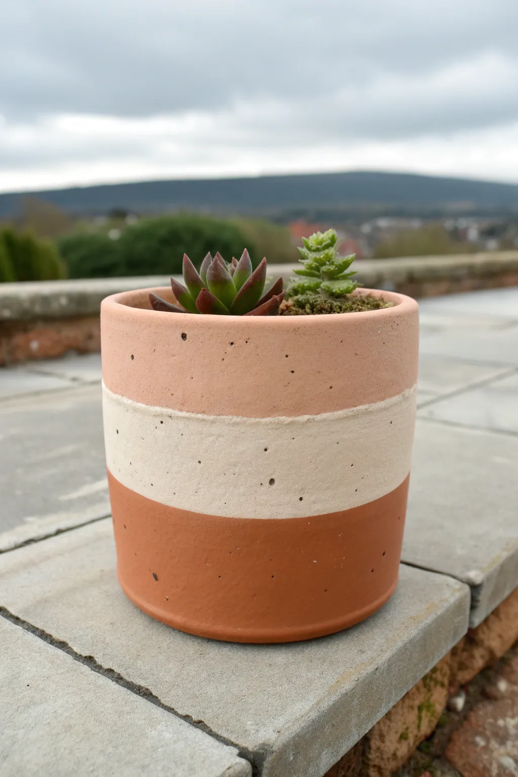 Simple two-tone color blocking turns a basic pot into a bold, modern patio accent