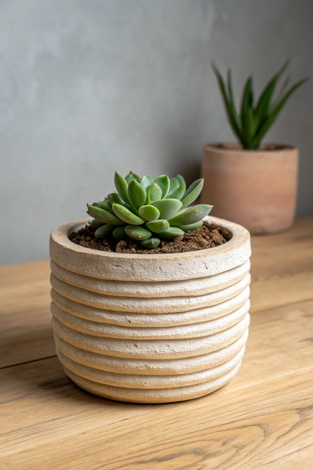 Coil-built air dry clay planter with visible handmade lines and a chunky succulent, warmly lit.