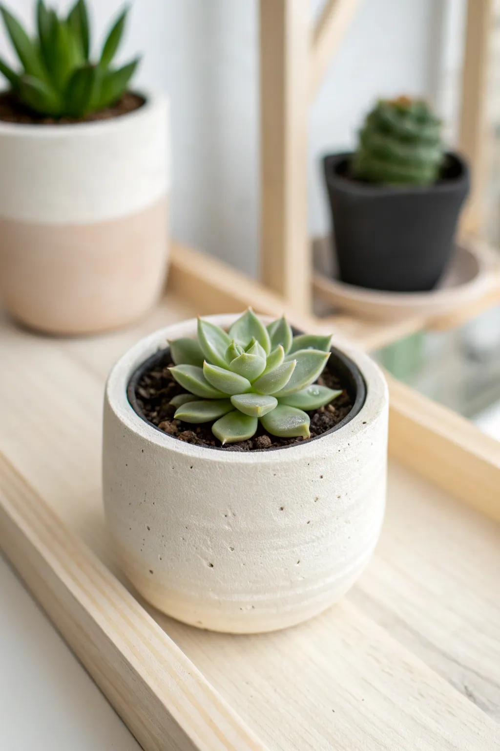 Mini air dry clay planter with a tucked-in nursery pot for drainage-free succulent styling