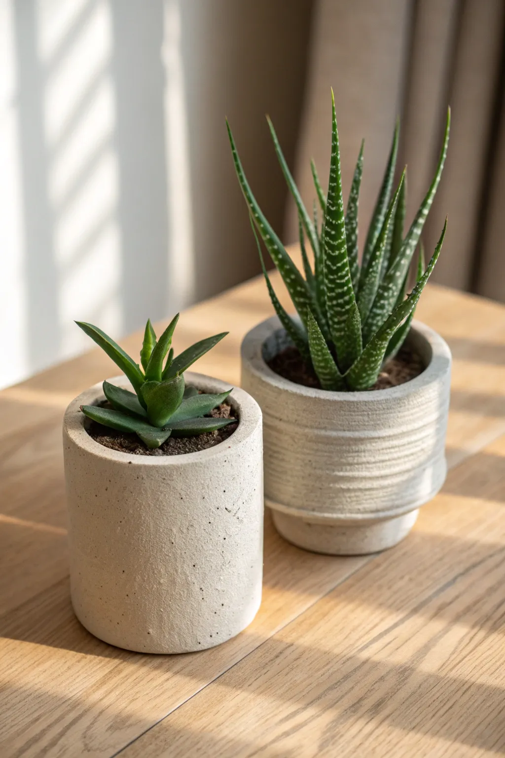 Two tiny clay planters with aloe and snake plant spikes, minimal silhouettes with height and contrast