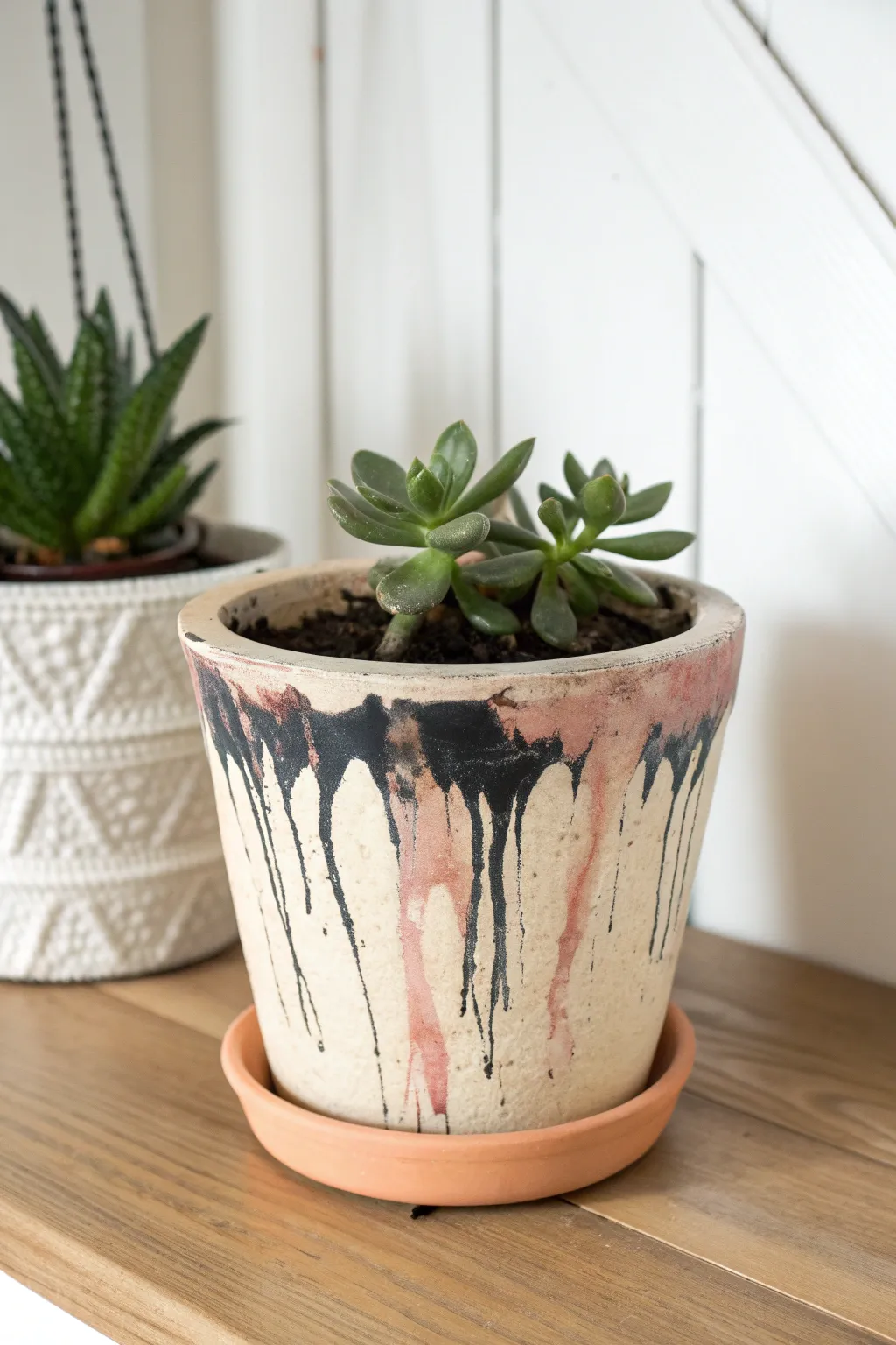 Glossy marbled drip terracotta planter with a tidy succulent for minimalist boho shelf styling