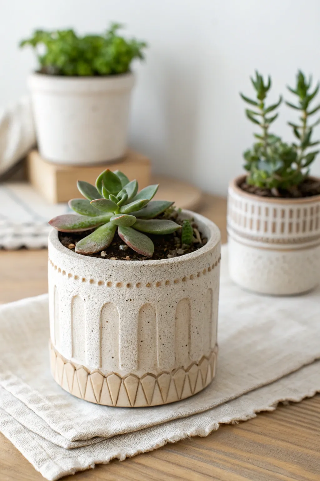 Coil-built planters with handmade charm, soft scallops and carved lines for cozy greenery.