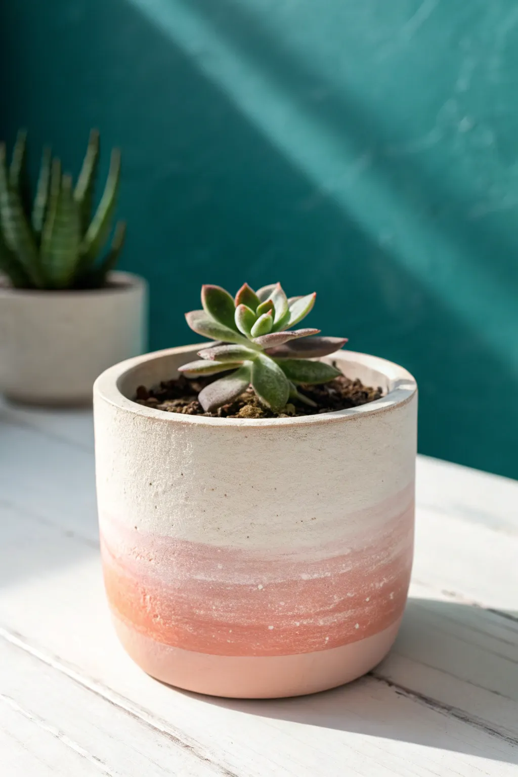 Soft ombre painted clay pot with a mini succulent, Scandinavian minimal with a boho touch.