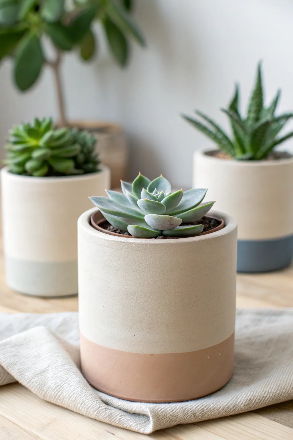 Clean cylinder pots and sculptural succulents bring minimalist calm with a boho warmth.