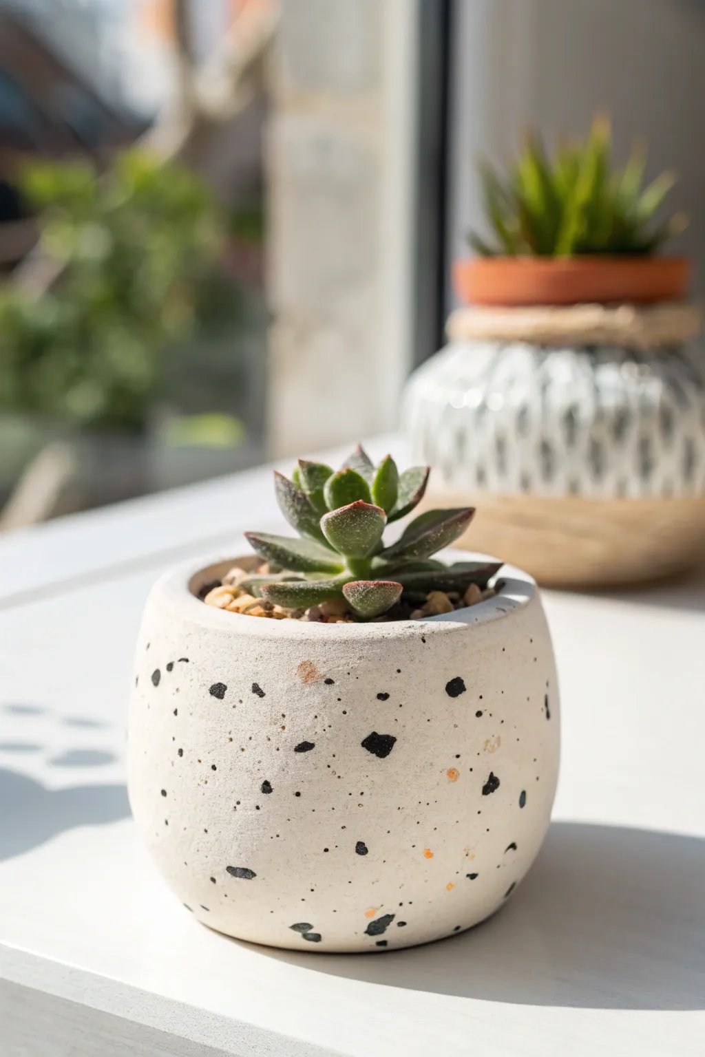 Matte speckled faux-ceramic air-dry clay pot, minimalist and cozy with one petite succulent