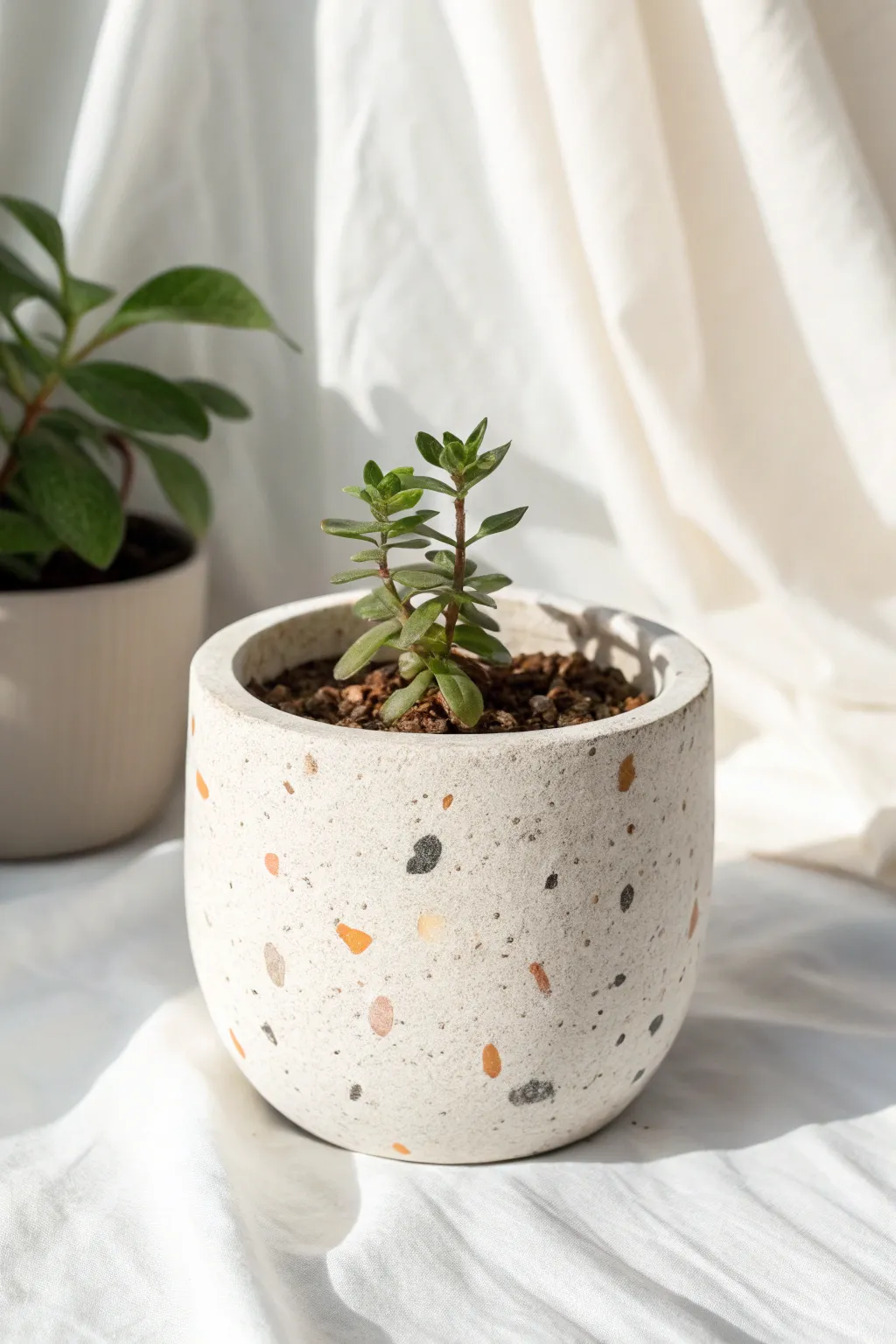 Cream terrazzo speckle clay pot with a fresh green plant, minimalist and beautifully handmade.