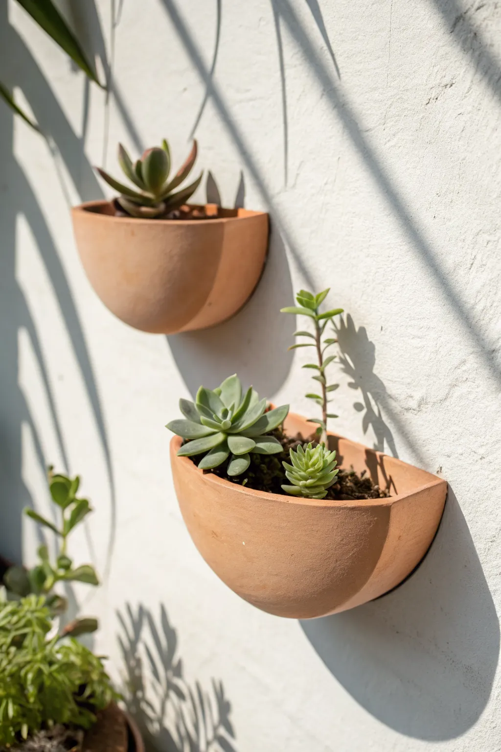 Minimal half-moon clay wall planter pockets with tiny succulents for calm boho styling.