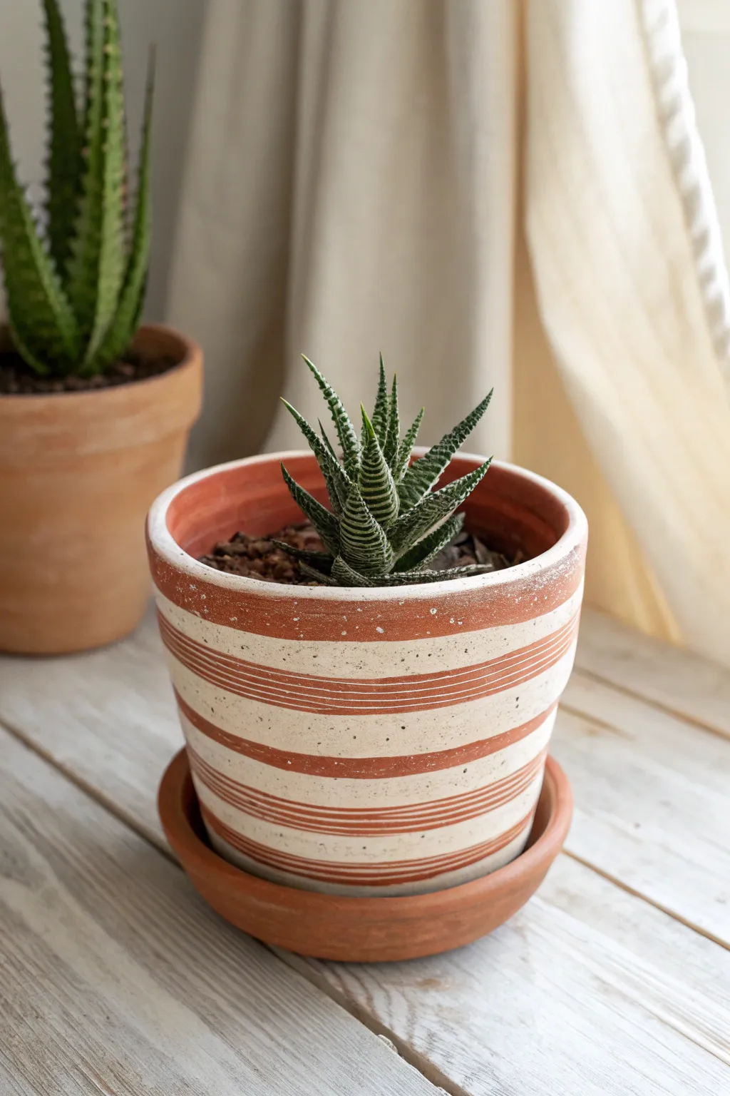 Thin wraparound stripes turn a simple pot into a modern boho accent for your succulents.