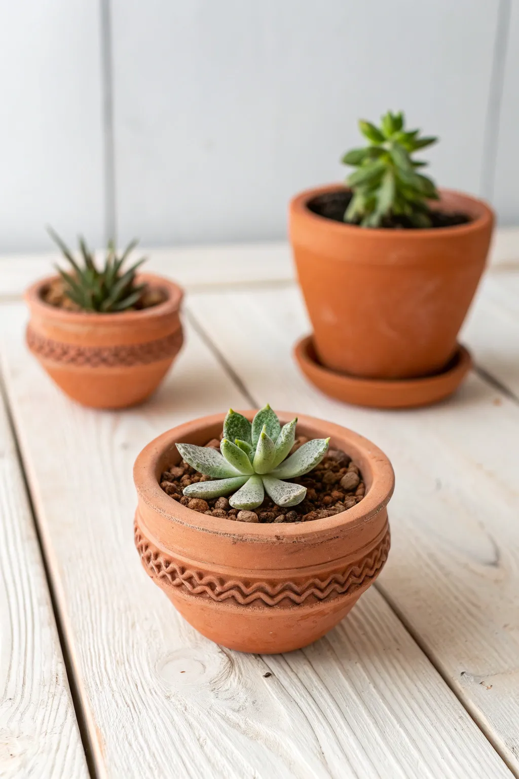 Warm terracotta pinch-pot planters with mini clay succulents on natural wood, calm and cozy