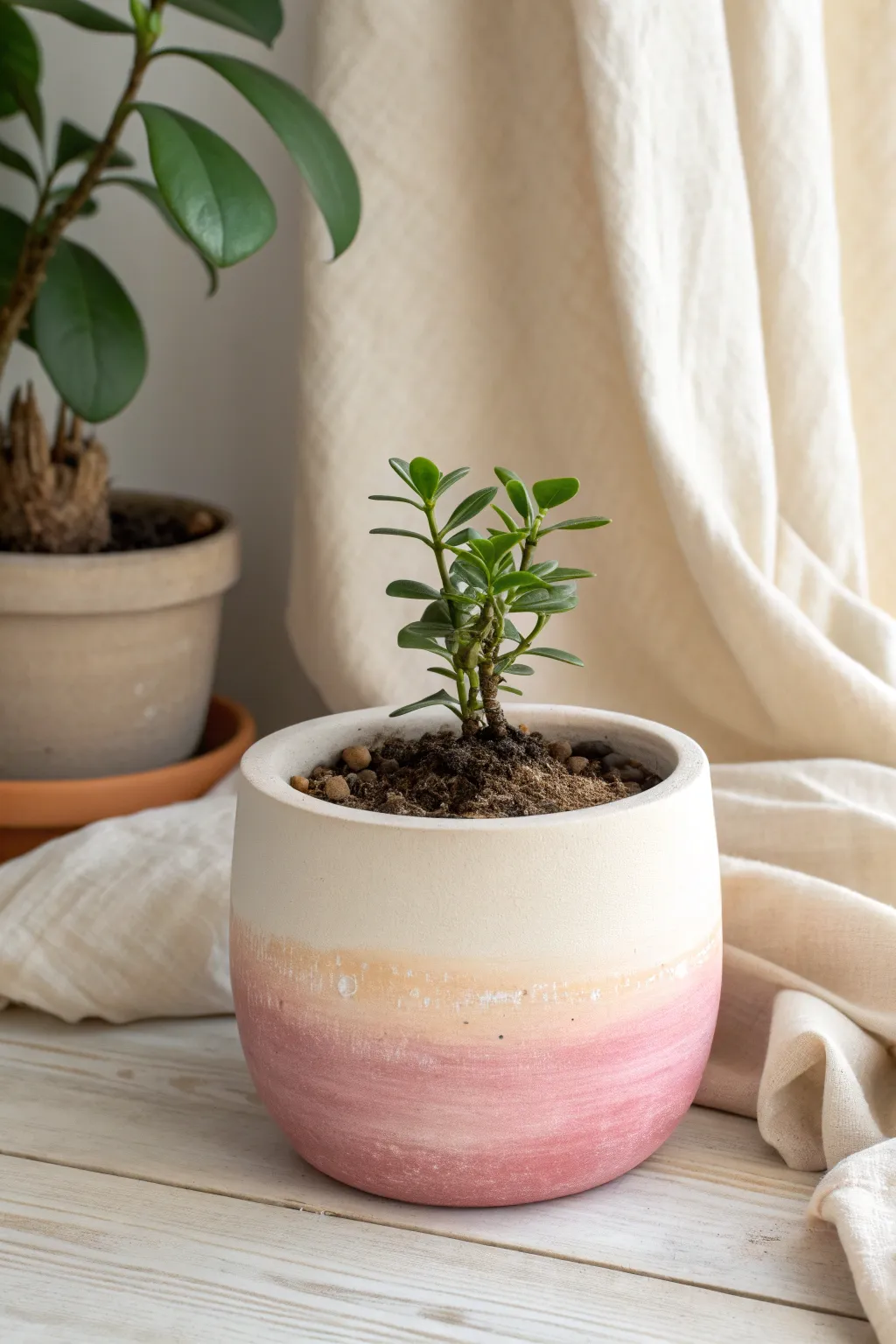 Soft blush-to-cream ombre pot with a simple plant, minimalist and calming for any space