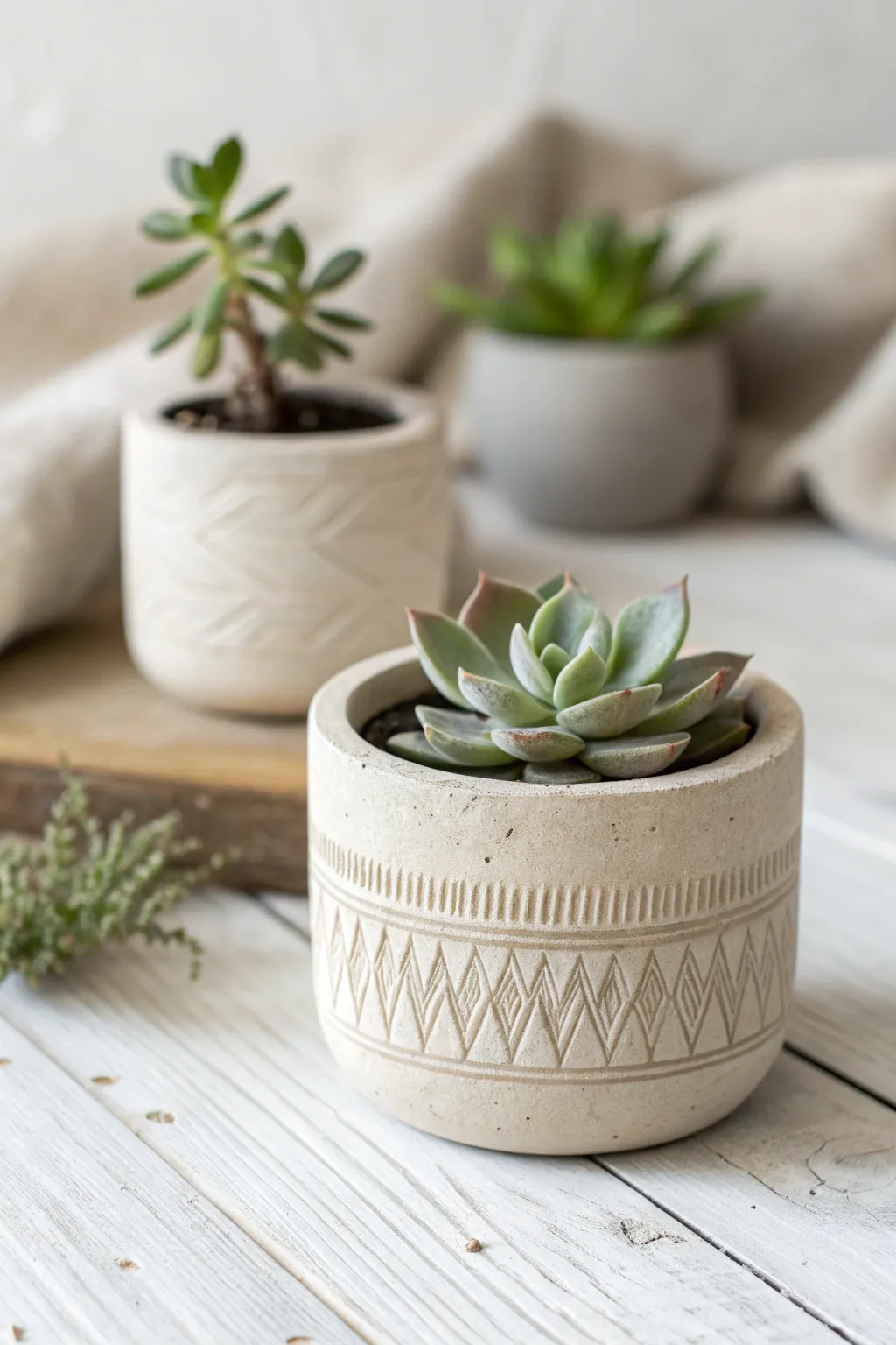 Scandi-minimal succulent planter set in soft neutrals, featuring a simple carved line detail.