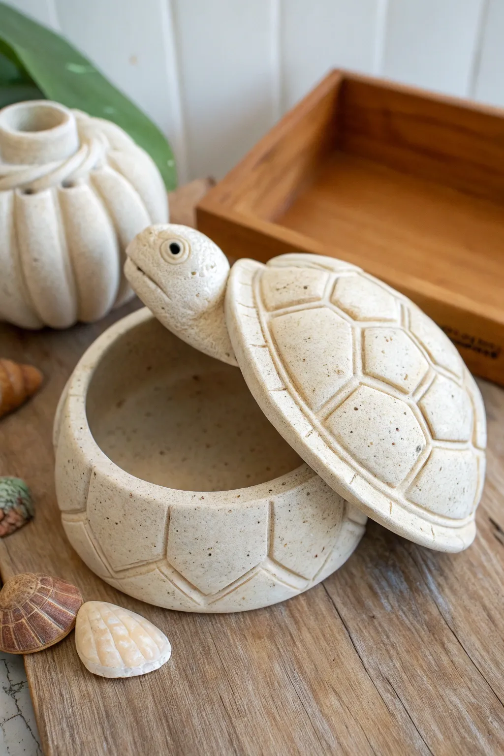 Sweet turtle shell trinket box in soft clay tones, minimalist boho decor, lid slightly ajar.