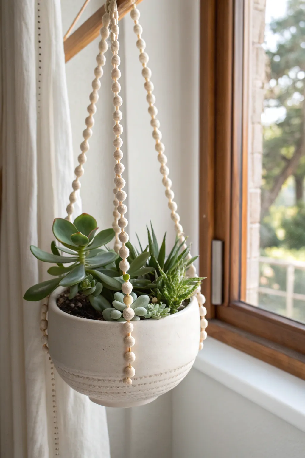 Minimal hanging ceramic pot with cascading succulents, sunlit and serene for small spaces.