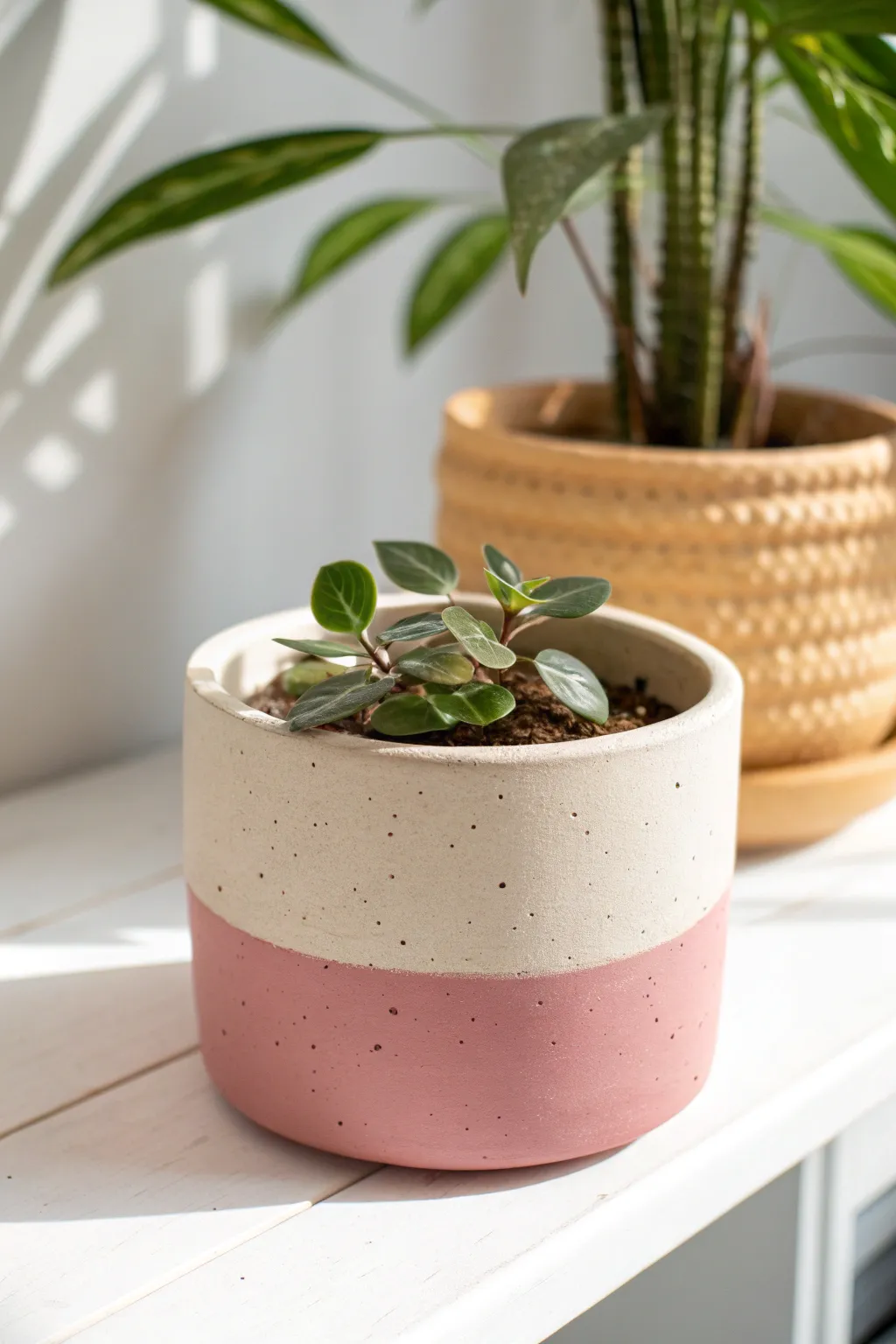 Minimal color-blocked planter in matte beige and dusty pink for a bold, modern boho vibe.