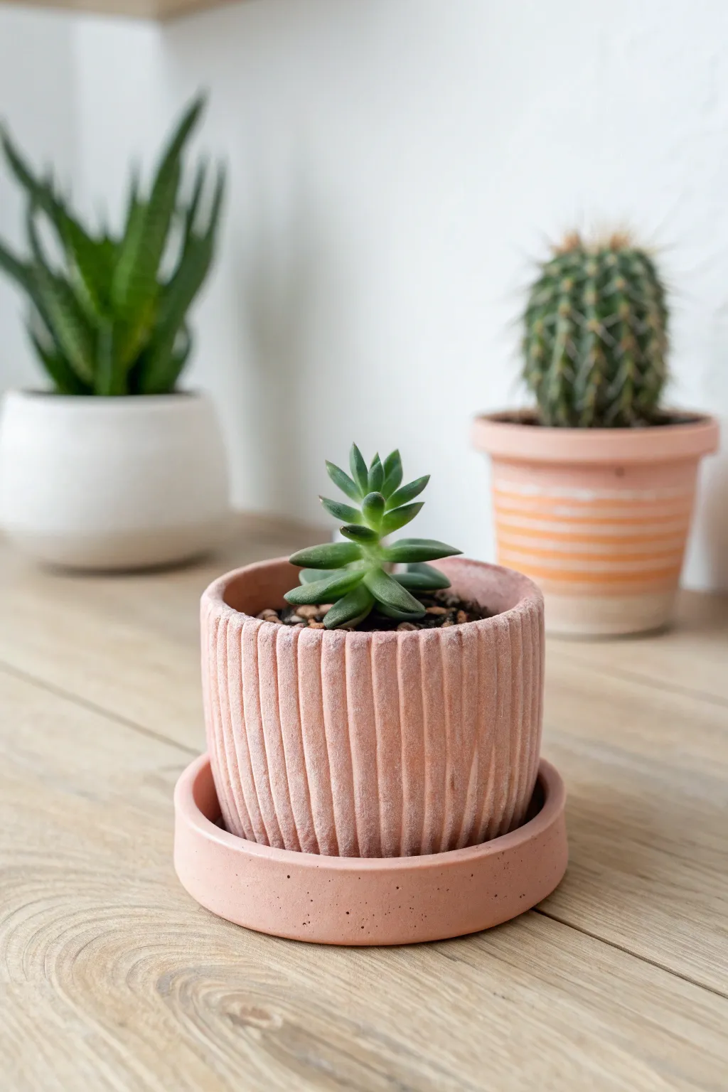 Mini planter and tray clay kit idea simple, modern, and boho-cute for any windowsill.