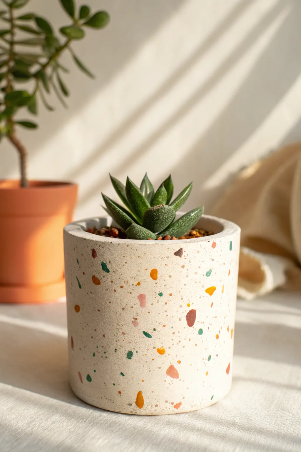 Speckled terrazzo clay pot with bold color flecks, minimalist styling, and a fresh pop of green.