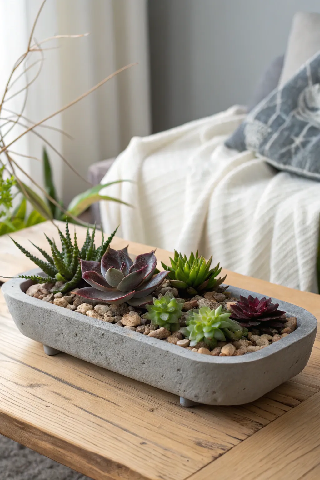 Low concrete-style succulent tray centerpiece with dark rock topdressing and bold, hardy plants