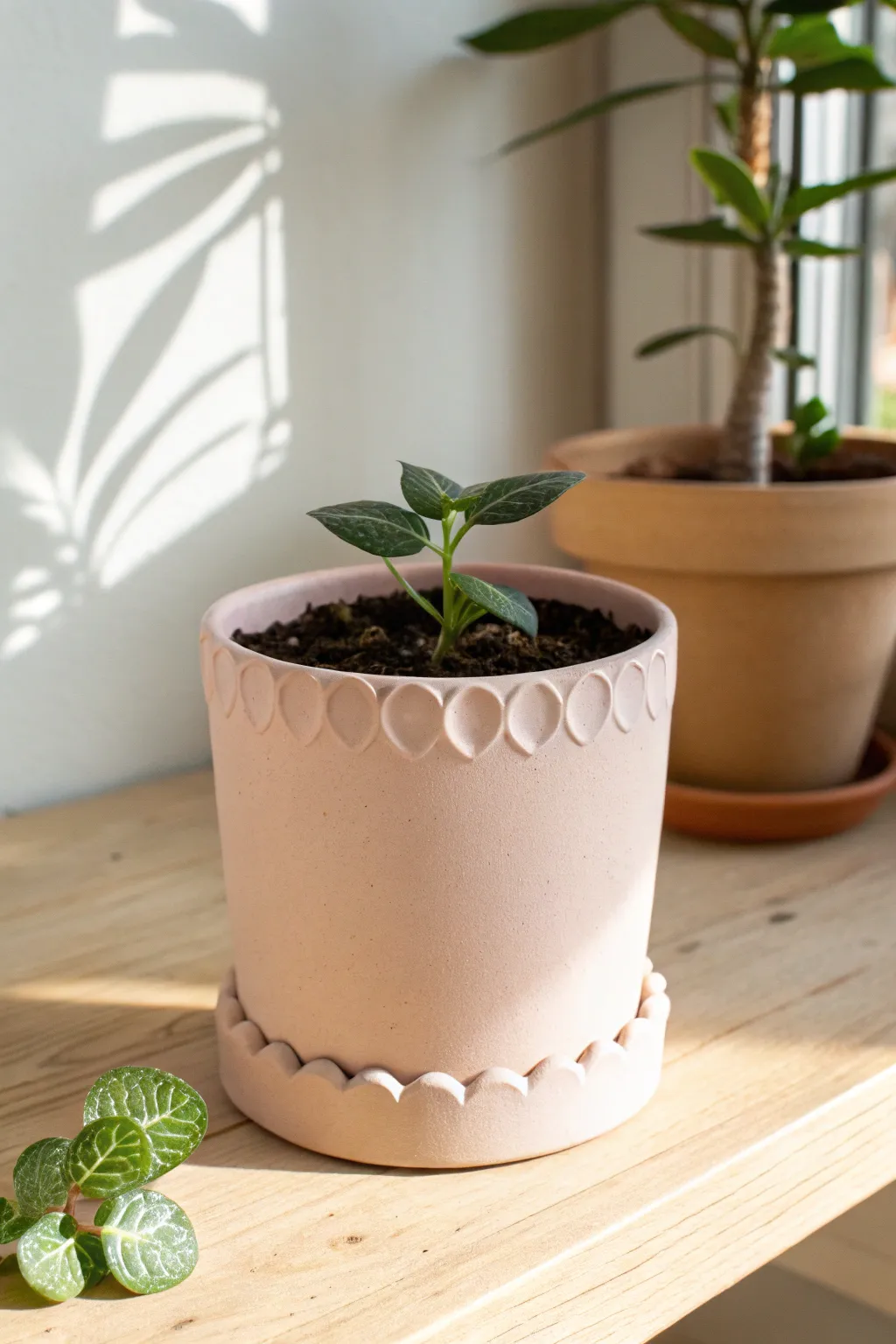 Sweet scalloped rim planter in soft blush clay, a simple DIY-friendly detail with modern charm.