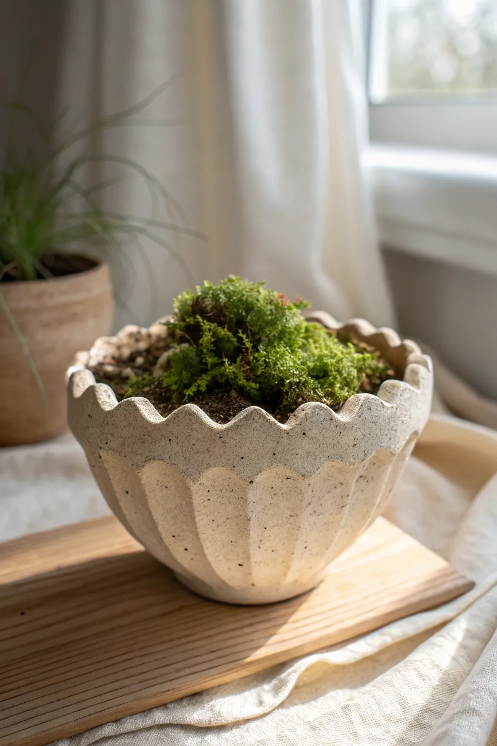 Soft neutral scalloped clay planter with moss topping, minimalist cottagecore charm