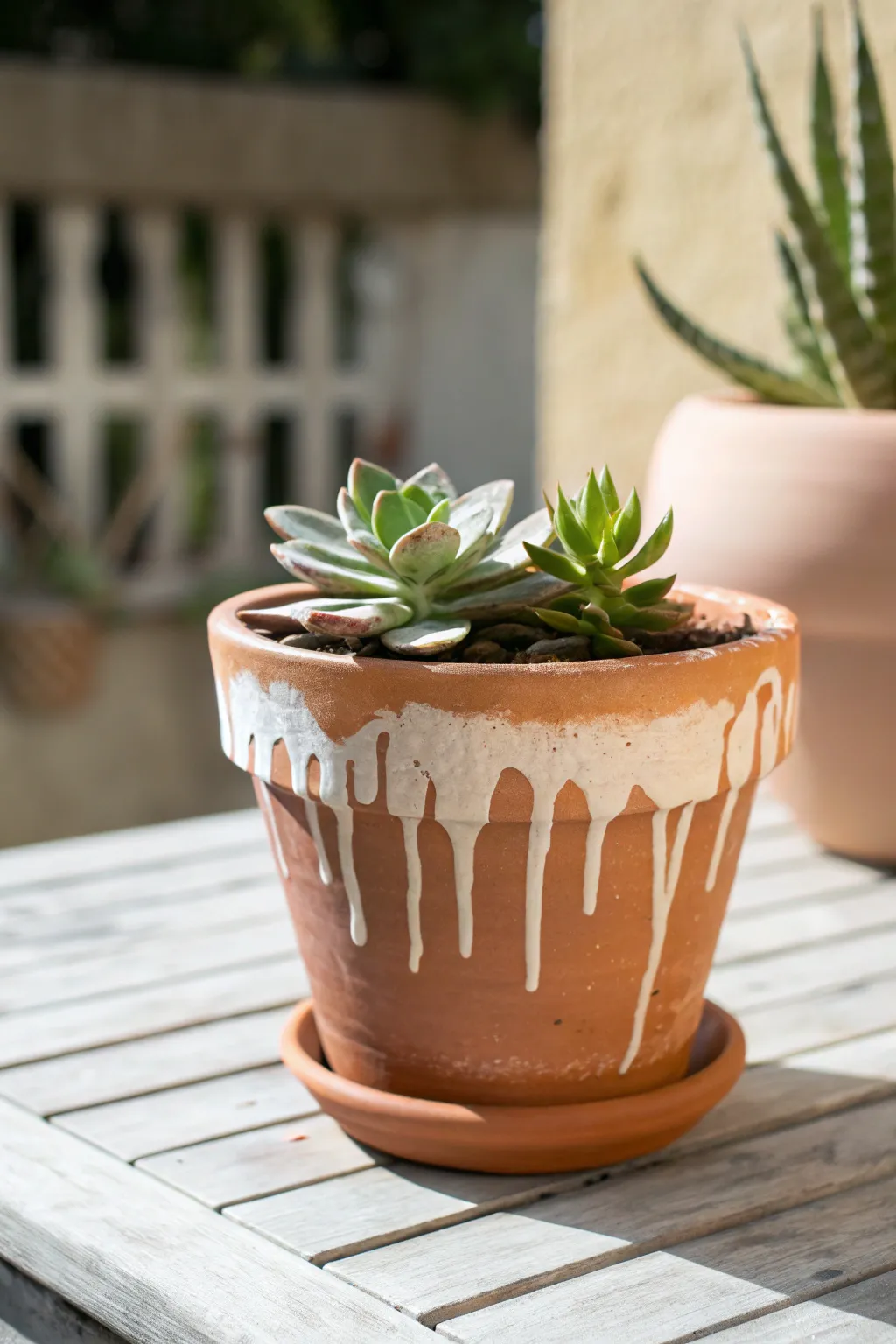 Minimal terracotta planter with creamy drip-paint rim, bright patio light and modern boho charm