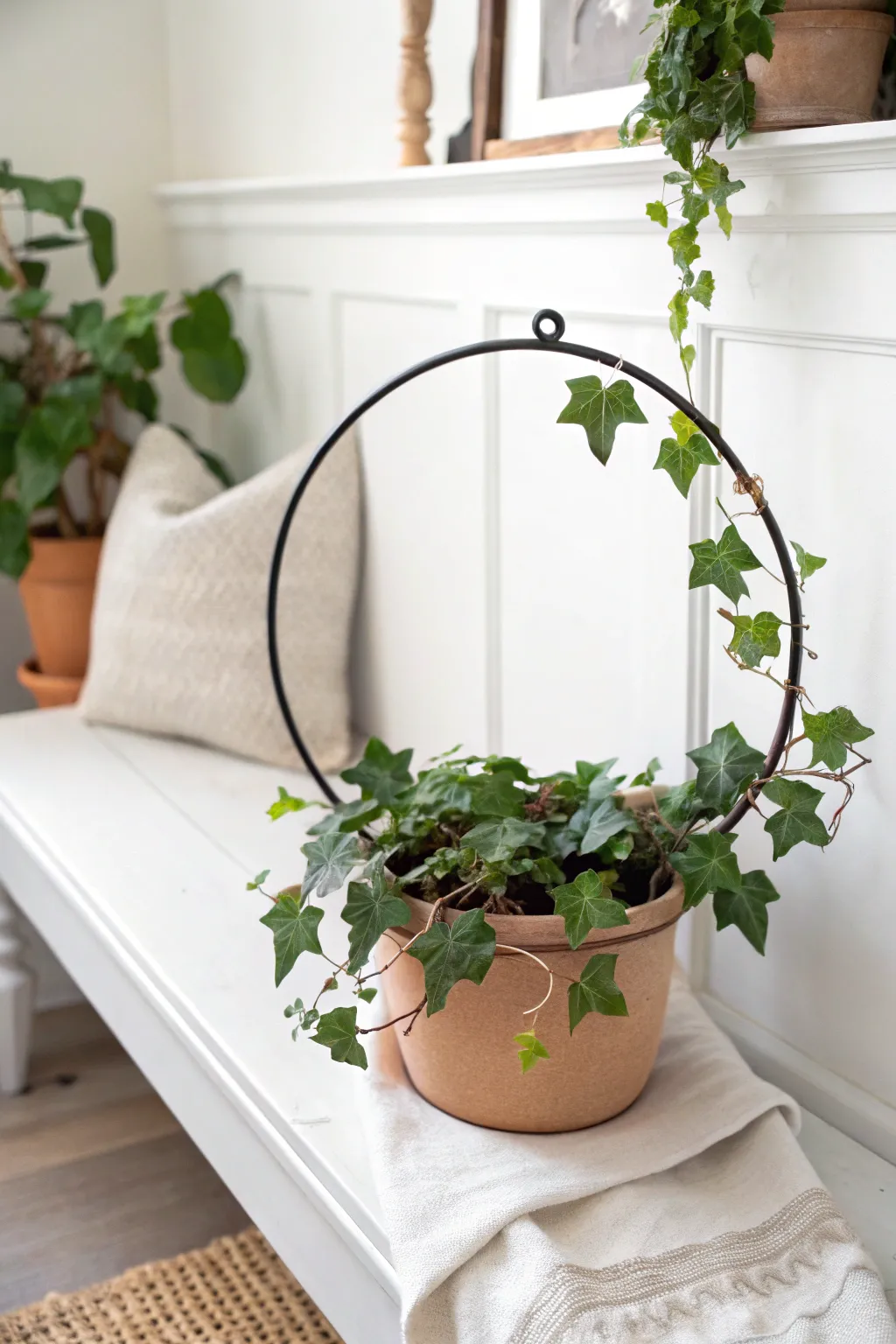 Hoop-form ivy wreath planter in terracotta, minimalist and airy with natural contrast